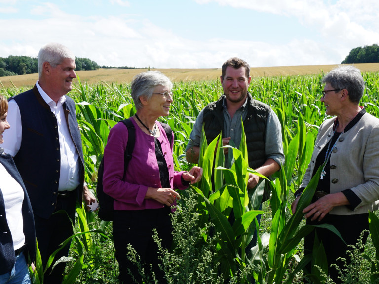 Berthild Sachs steht mit Vertretern der Landwirtschaft in einem Maisfeld und informiert sich über die Ernte 2025