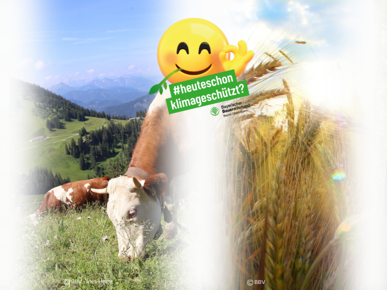 Header Klimatag Header Klimatag