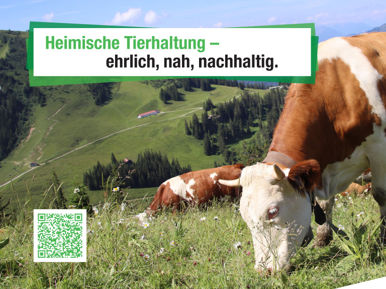 #heuteschonklimageschützt Motiv