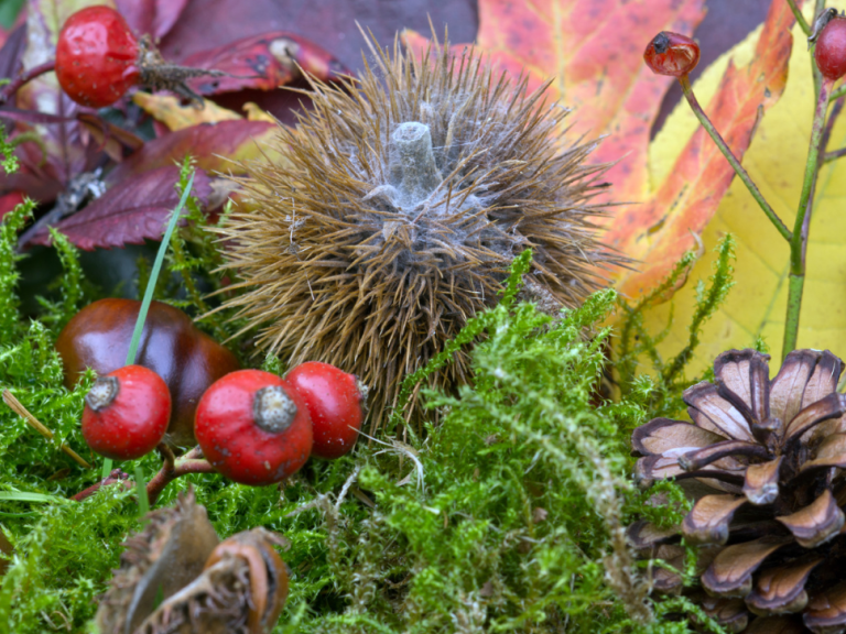 Herbst