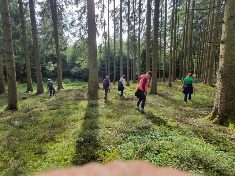 Waldbaden für Landsleut