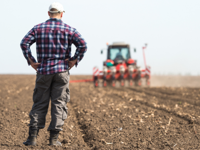 AMK-Landwirtschaftliche Erwartungen
