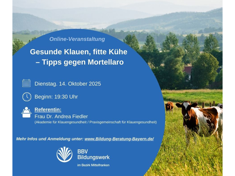 Kurs Klauenpflege gegen Mortellaro BBV Bildungswerk Mittelfranken 14.10.2025