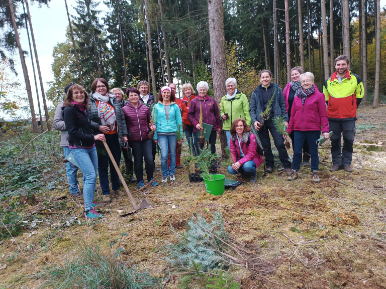 Waldbegehung Kirchweihmontag