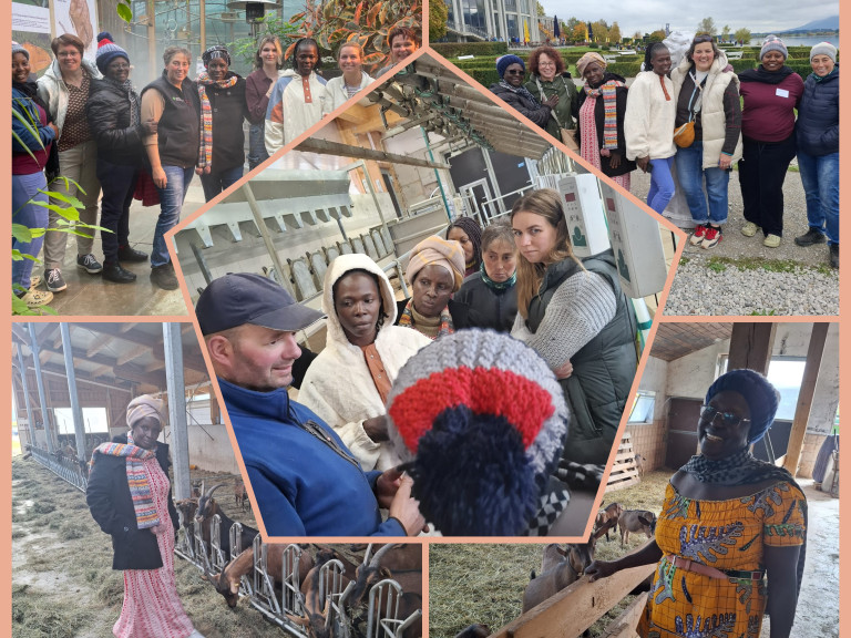 Besuch im Ostallgäu