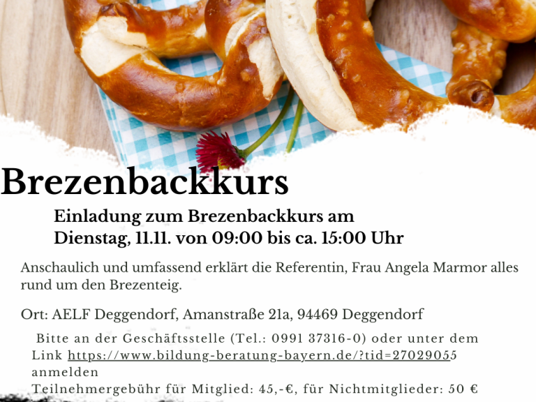 Brezenbackkurs