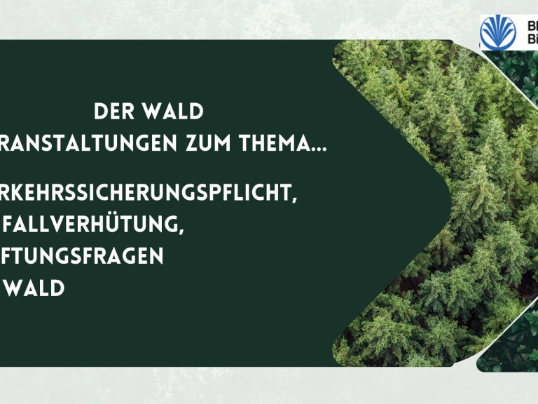 Unfallverhütung im Wald