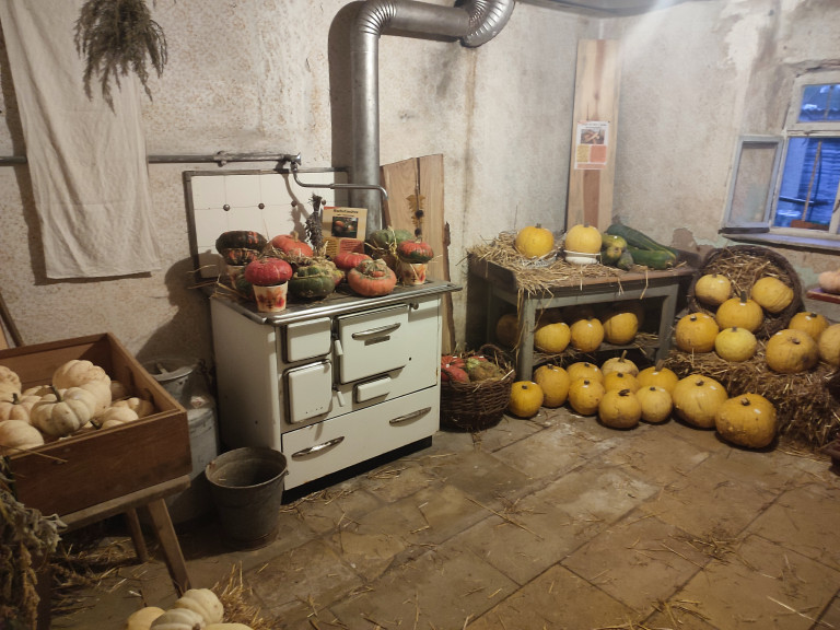 Besichtigungsbild Fahrt Thüringen - Deko Kürbis