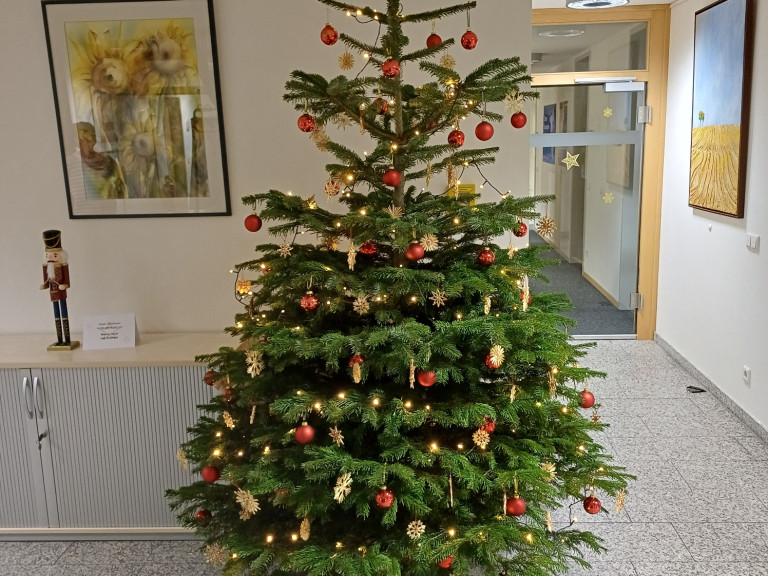 Christbaum IN