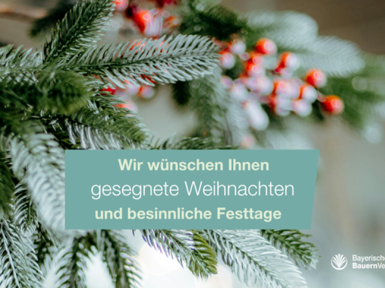 Weihnachtsgruß 2025