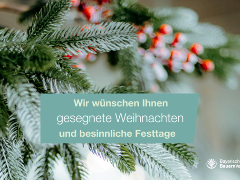 Frohe Weihnachten
