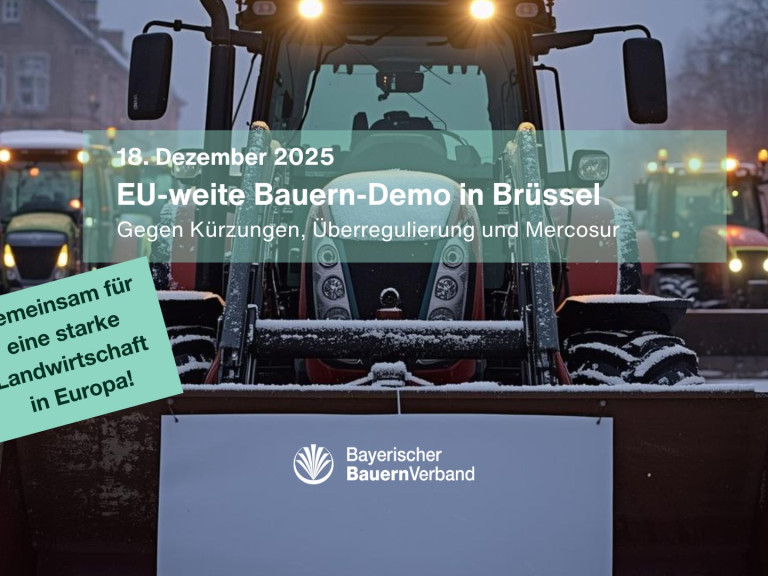 Aufruf zur Demo in Brüssel am 18. Dezember 2025 