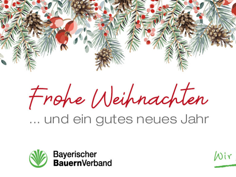 Mailbild Weihnachten 2025