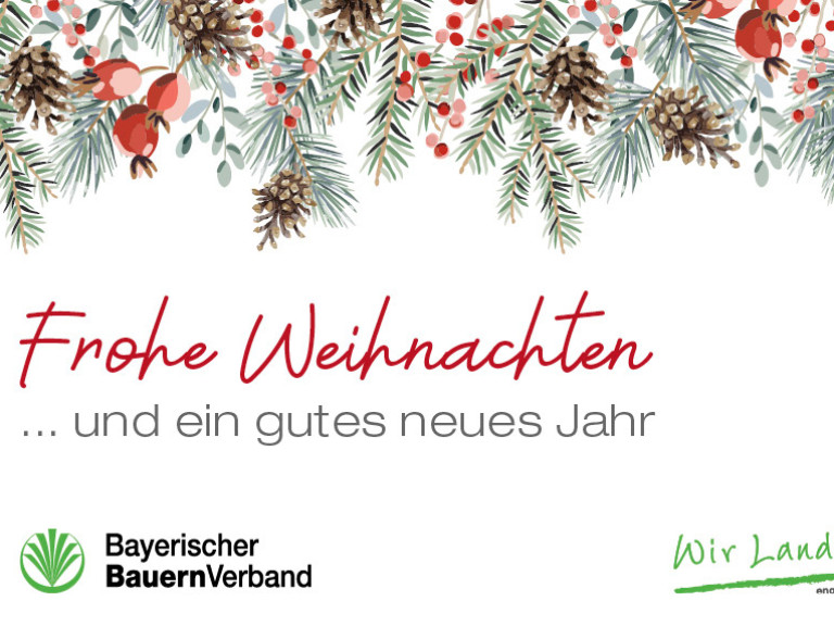 Mailbild Weihnachten 2025