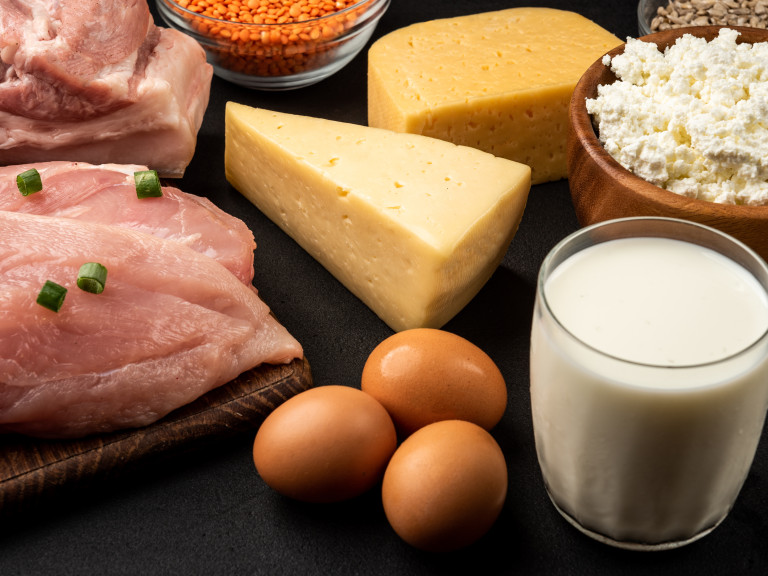 Tierische Lebensmittel