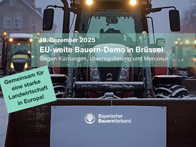 Demo Aufruf nach Brüssel am 18. Januar 2025 mit Bildern von Traktoren