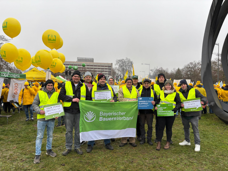 26_01_20 Demo gegen Mercosur und GAP-Budget für Bürokratieabbau in Strassburg