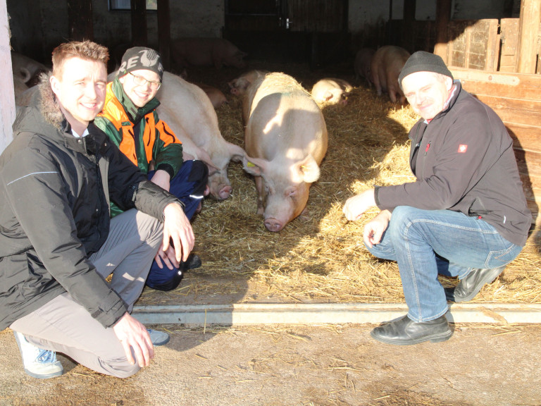 Pressetermin Schweinehaltung