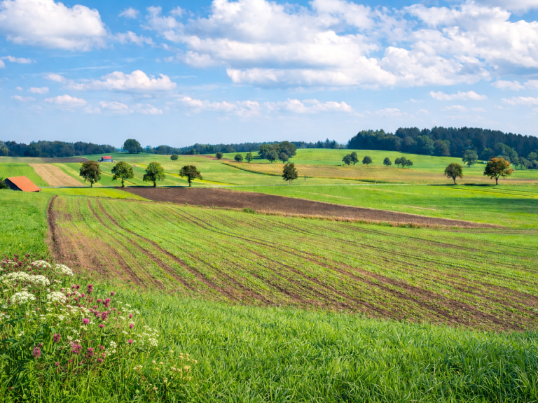 Bayerische Hügellandschaft