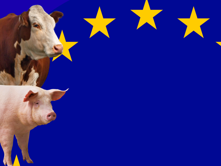 Nutztierstrategie EU