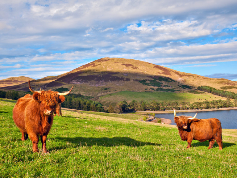 Flugreise nach Schottland - Sagenumwobenes Land der Highlander