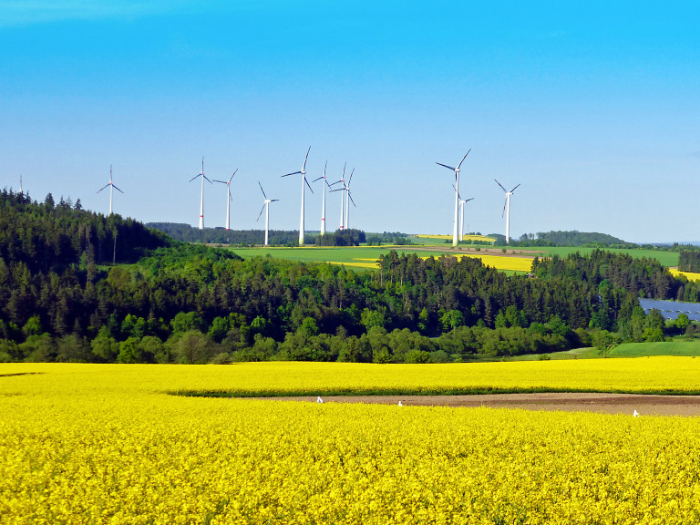 Raps-Windrad-Bild im Hofer Land