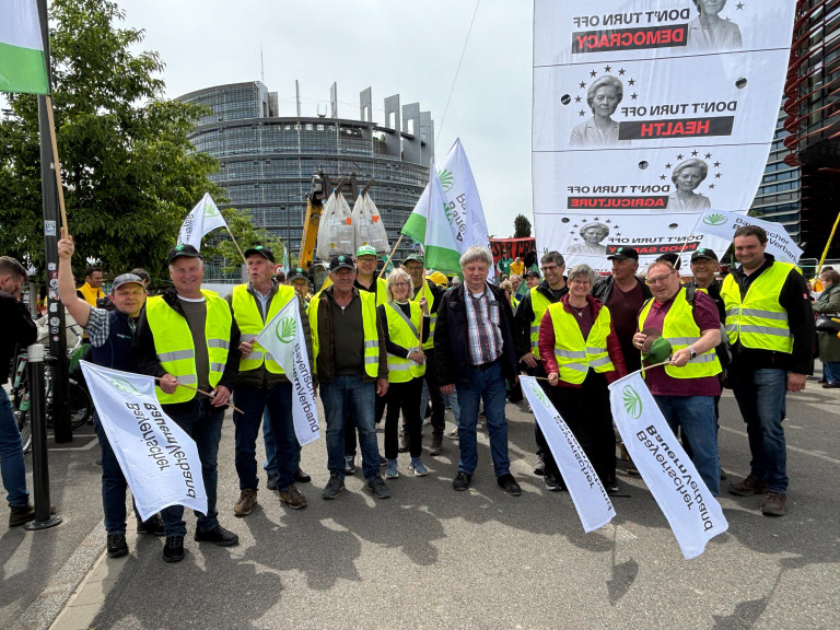 Demo Straßburg