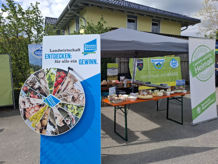 Infostand mit Käseverkostung