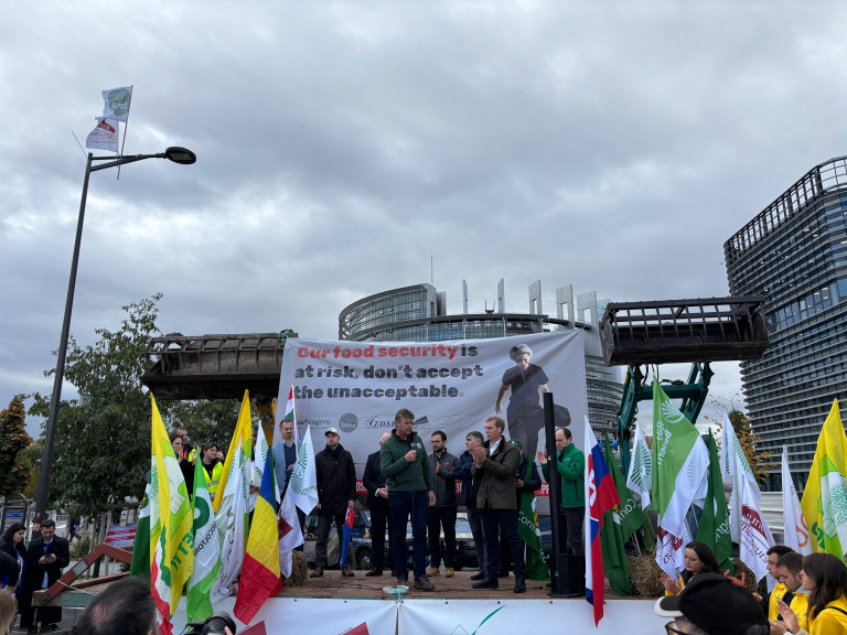 Bild bei einer Demo in Straßburg mit Blick auf eine Bühne, Flaggen und im Hintergrund EU-Gebäude