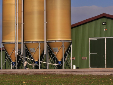 Futtermittelsilos vor einem Stall