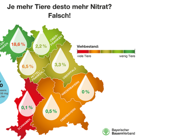 Die Grafik des Bayerischen Bauernverbandes zeigt, dass hohe Nitratbelastung und VIehdichte nicht zusammenhängen.