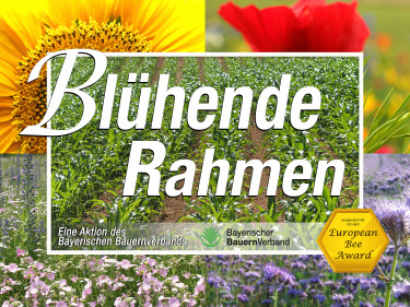 Es ist das farbige Schild "Blühende Rahmen" zu sehen