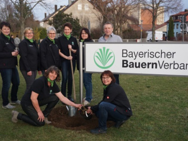Frauen bei der Rosenpflanzung am BBV-Schild