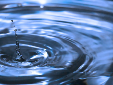 Wasser