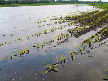 Hochwasser im Landkreis Deggendorf 2013
