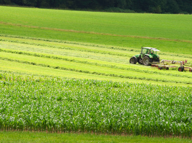 Ein Traktor auf Grünland in Bayern