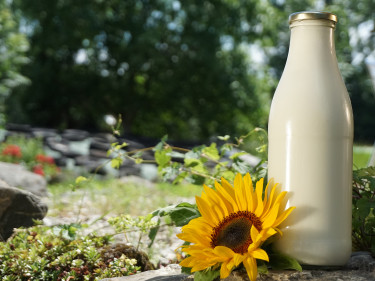 Milchflasche im Grünen
