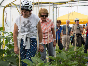 Frauen erkundigen ein Gewächshaus