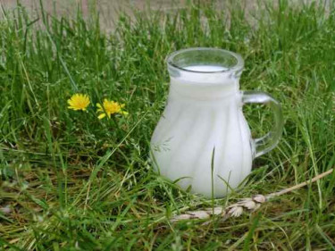 Milch