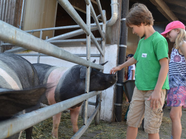 Zwei Kinder streicheln ein Schwein