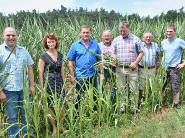 Ernte-Pressegespräch_KV_Nürnberger_Land