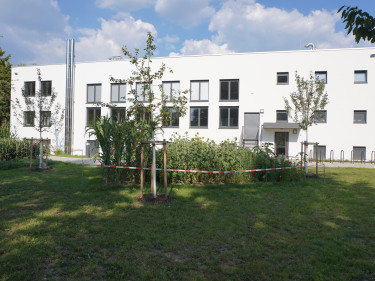 2018-07-27 Regensburg BBV-Geschäftsstelle
