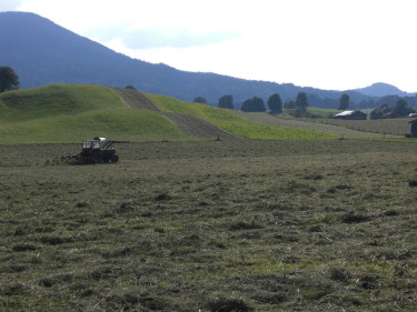 2018-07-02 Grünland