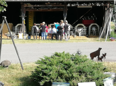 Gruppenbild Schulklasse auf Bauernhof