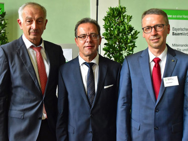 2018-08-02_Böhmer_Fähnlein_Braun