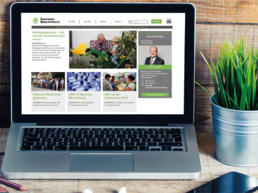 Website