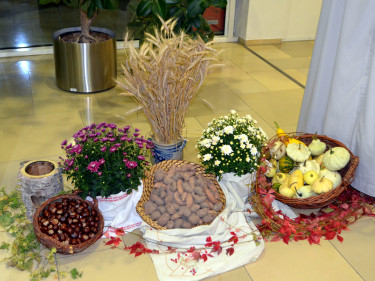 Erntedank