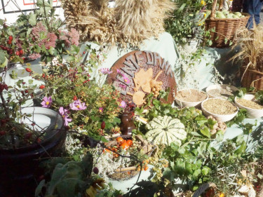 Erntedanktisch am Amberger Bauernmarkt 2018 Aktion Wir machen Ernte