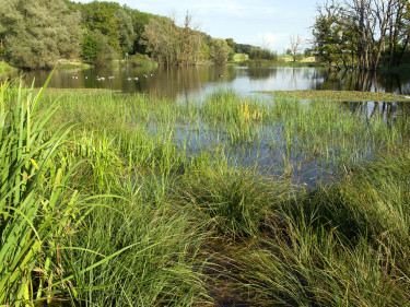 Wasserpakt