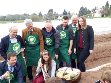 Gruppe sticht Spargel an